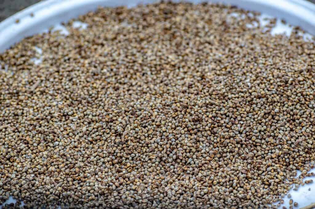 bajra in a plate