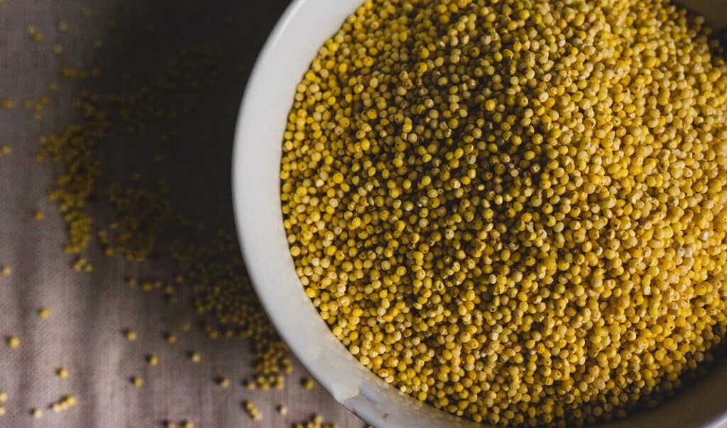 little-millet